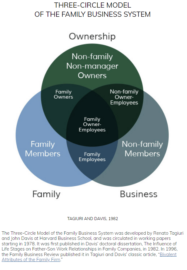 business transition planning with the three circle model